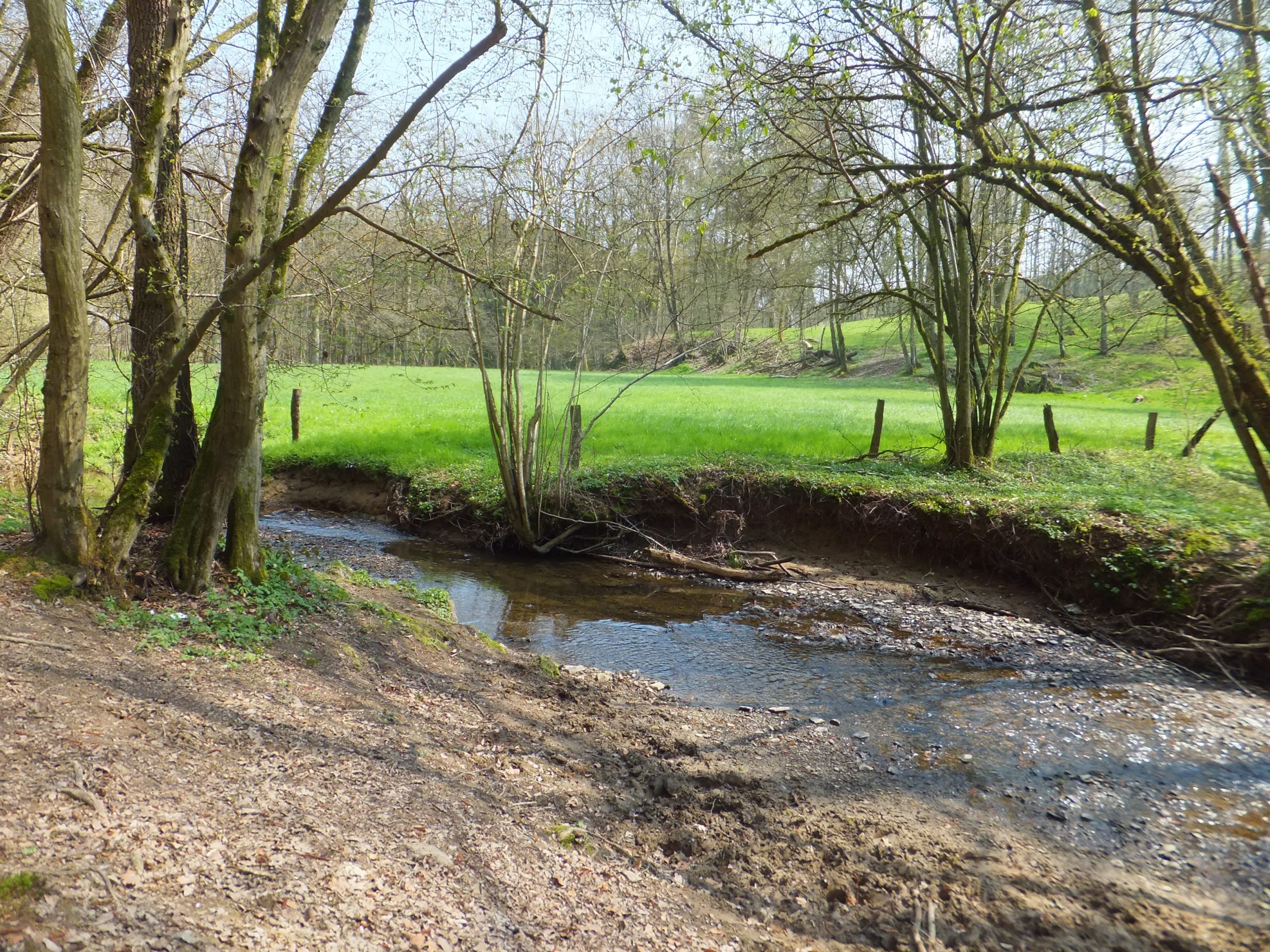 Kräuter – Exkursion im Herbst